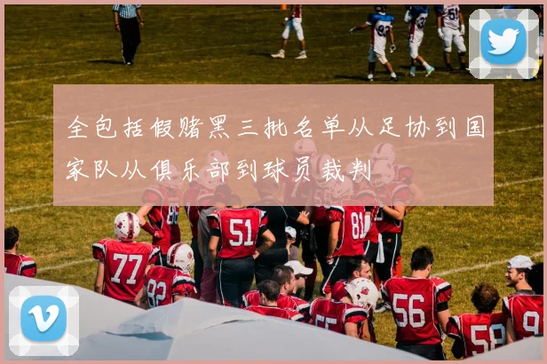 全包括假赌黑三批名单从足协到国家队从俱乐部到球员裁判
